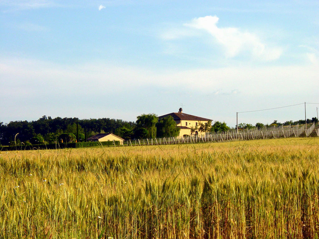 Agriturismo Verbena Castiglione del Lago Bagian luar foto