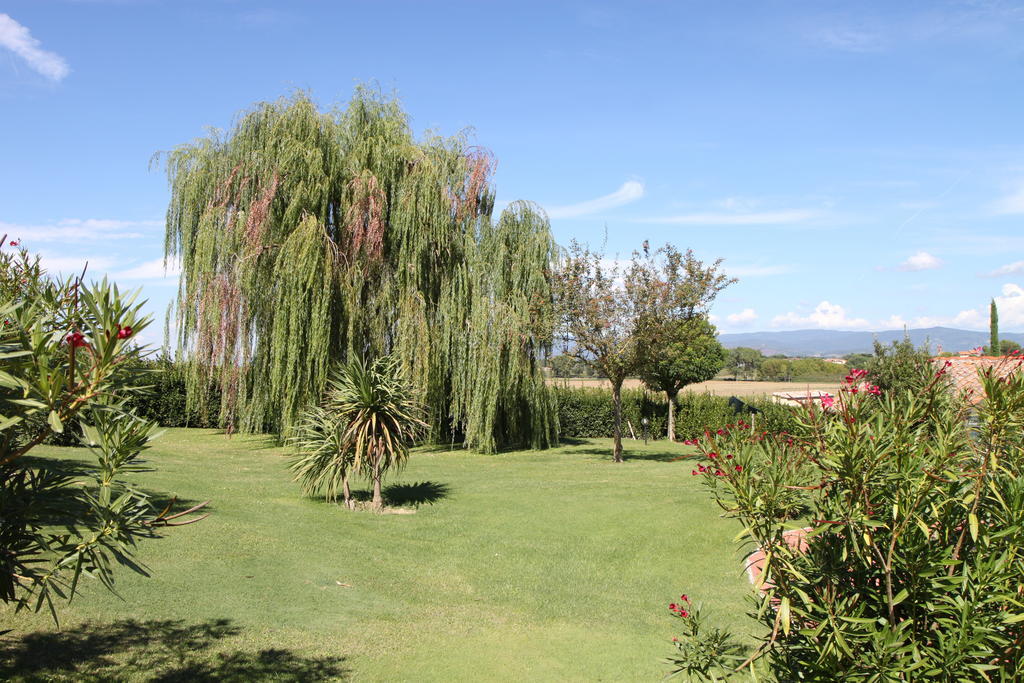 Agriturismo Verbena Castiglione del Lago Bagian luar foto