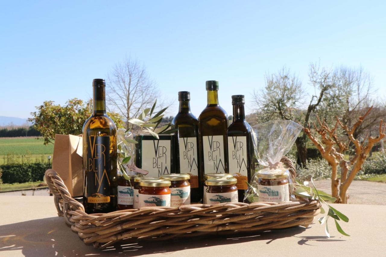 Agriturismo Verbena Castiglione del Lago Bagian luar foto