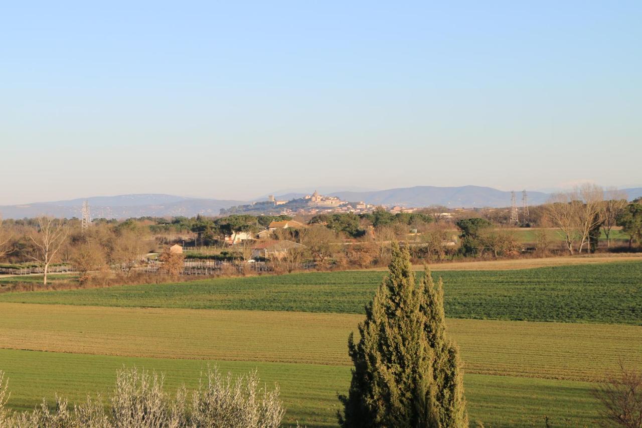 Agriturismo Verbena Castiglione del Lago Bagian luar foto